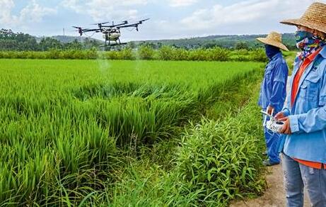 獸藥殘留檢測儀 獸藥殘留檢測儀