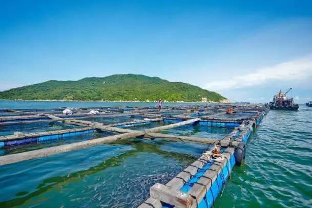 珠海市海淼水產(chǎn)進(jìn)出口引進(jìn)我司水產(chǎn)品質(zhì)量檢測儀